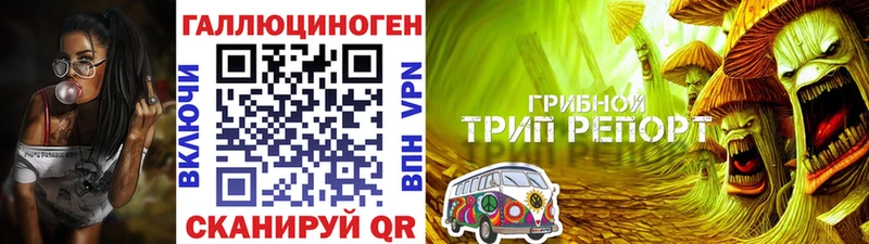 Галлюциногенные грибы MAGIC MUSHROOMS  даркнет сайт  Тула 