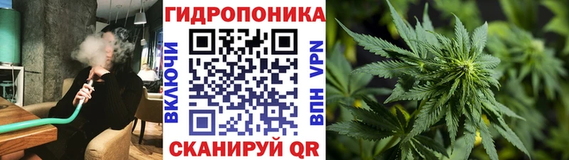 Шишки марихуана план  сайты даркнета как зайти  Тула  даркнет сайт 